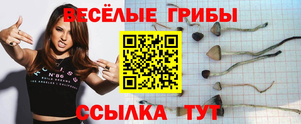 Галлюциногенные грибы мицелий Псков