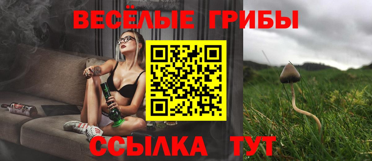 Псилоцибиновые грибы Psilocybe  где купить наркотик  Псилоцибиновые грибы Psilocybe  Псков  Вход с VPN 